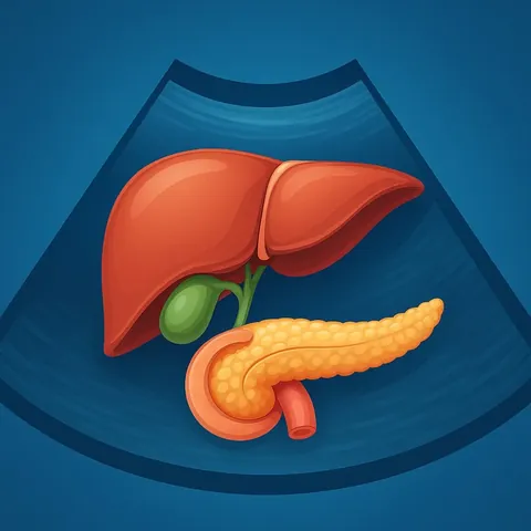 Illustrazione: ecografia di fegato, vie biliari e pancreas